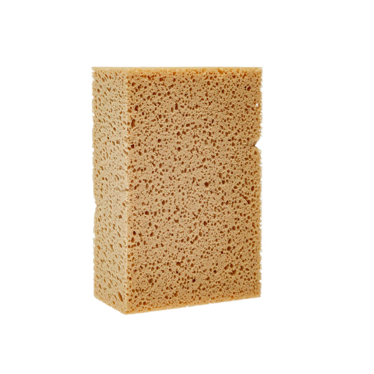 ELEMENTS | Safe Washing Sponge