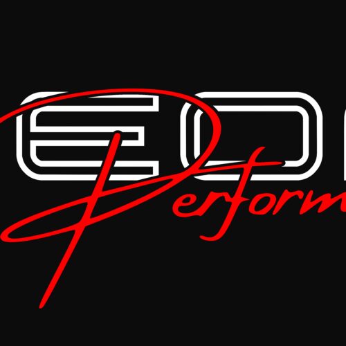 LEON PERFORMANCE
